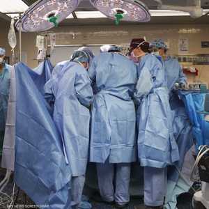 سابقة طبية.. زراعة كلية خنزير لمريض حي