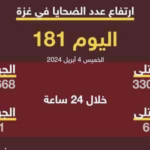 عدد القتلى بغزة يتجاوز 33 ألفا