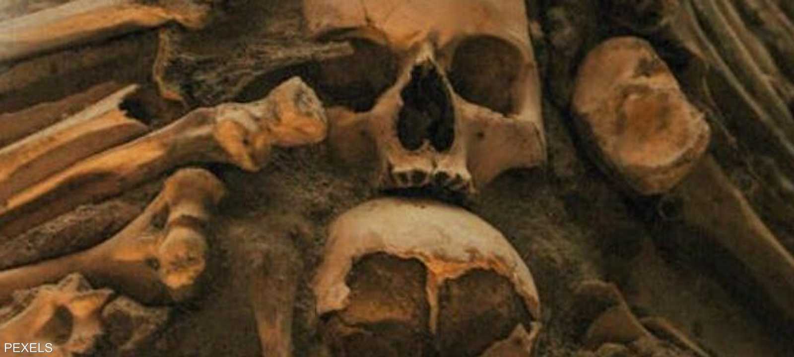 كوش مكون من مسحوق عظام بشرية ومكونات أخرى