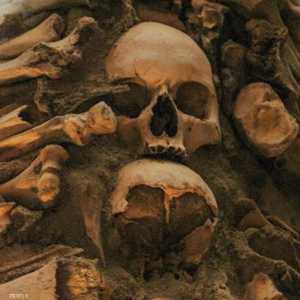 كوش مكون من مسحوق عظام بشرية ومكونات أخرى