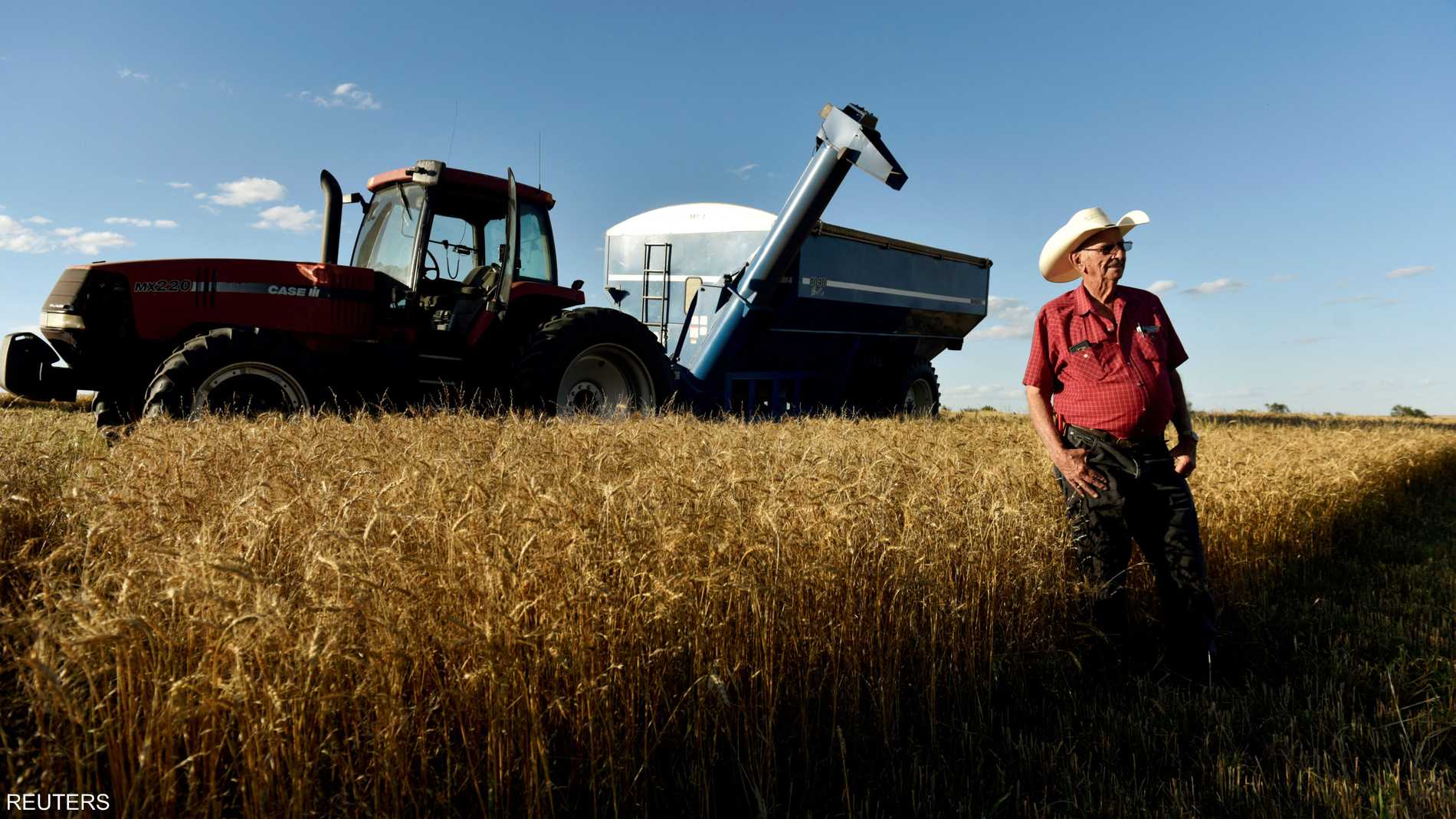 القمح ينخفض 3% والذرة تتراجع مع إعلان ترامب وقف إطلاق النار