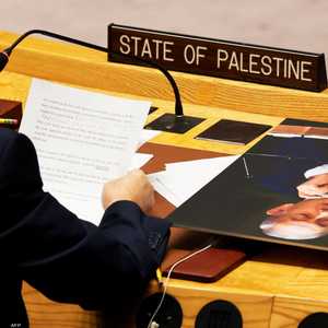 فلسطين تحظى بصفة مراقب في الأمم المتحدة