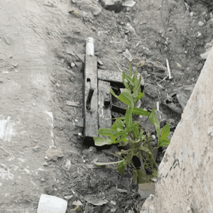 صورة لسلاح أحد المهاجمين الفلسطينيين وفقا للجيش الإسرائيلي