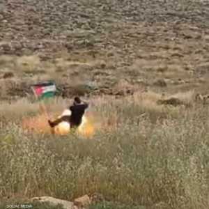 العلم كان فخا على ما يبدو