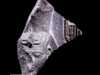 رأس التمثال سرق من معبد رمسيس الثاني بمدينة أبيدوس