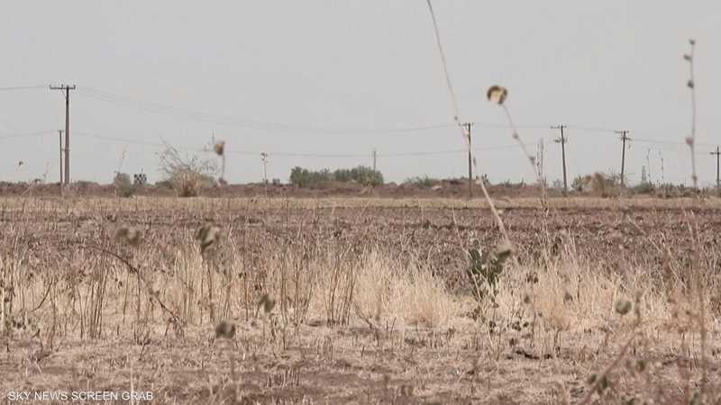 فاو: الحرب تهدد الموسم الزراعي في السودان