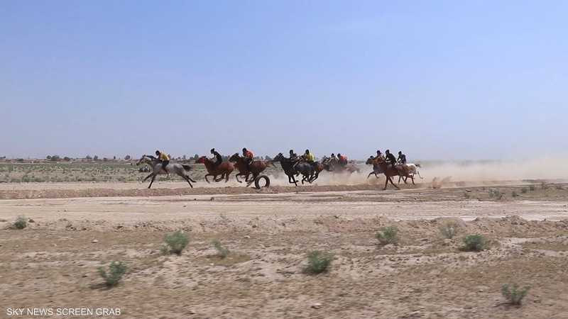 تنظيم سباق للخيول العربية الأصيلة في ريف الحسكة