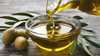 أكبر منتج عالمي لزيت الزيتون يحذر من صعوبات 
