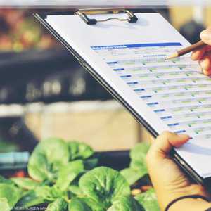 8 إرشادات لتخزين الأطعمة بشكل صحيح