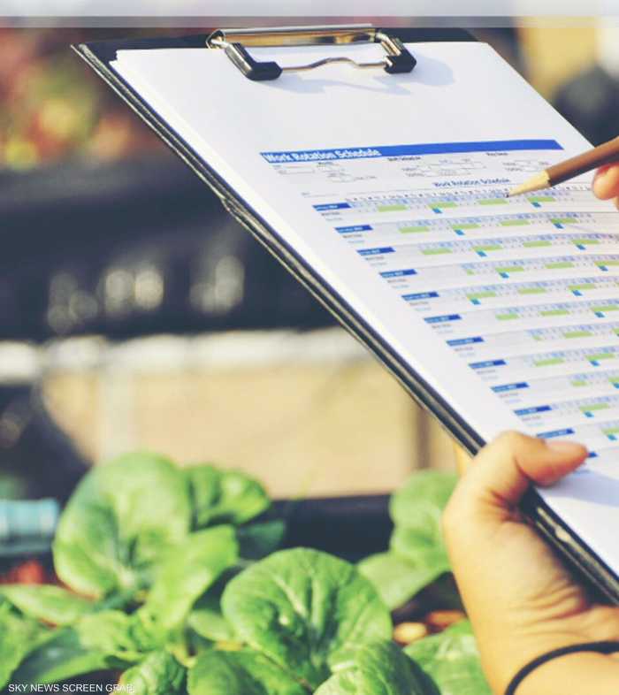 الطرق السليمة لتخزين الطعام والمواد الغذائية