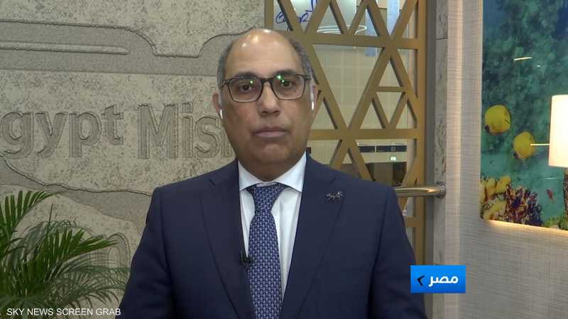 الرئيس التنفيذي للهيئة المصرية العامة للتنشيط السياحي