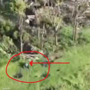 الكاميكازي البري المسير.. أحدث تقنيات الحرب