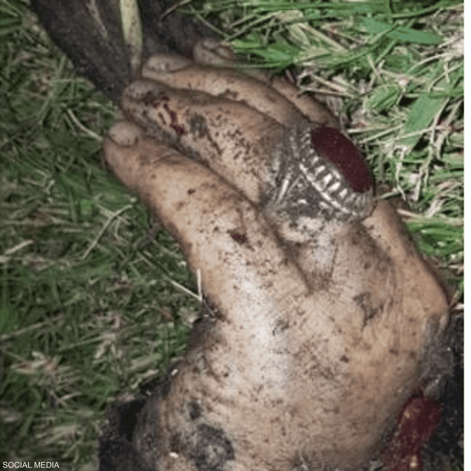 تم التعرف على هوية قاسم سليماني من خلال خاتمه