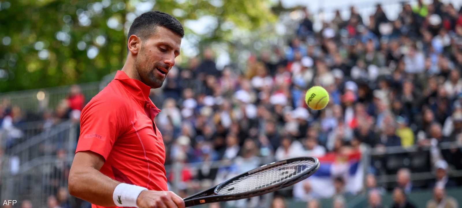 الصربي نوفاك ديوكوفيتش