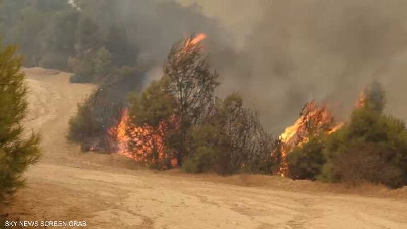 "قانون جديد" صارم لحماية الغابات من الحرائق في الجزائر