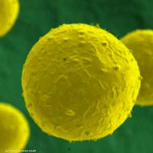 دعوات لرفع الوعي بمرض التصلب المتعدد