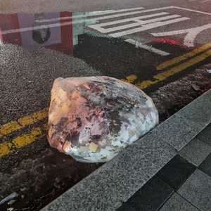 كيس من قمامة كوريا الشمالية