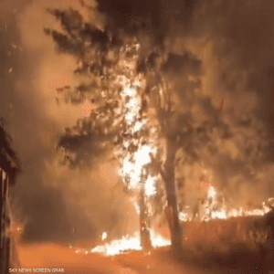 الحرائق وصلت إلى عدة منازل