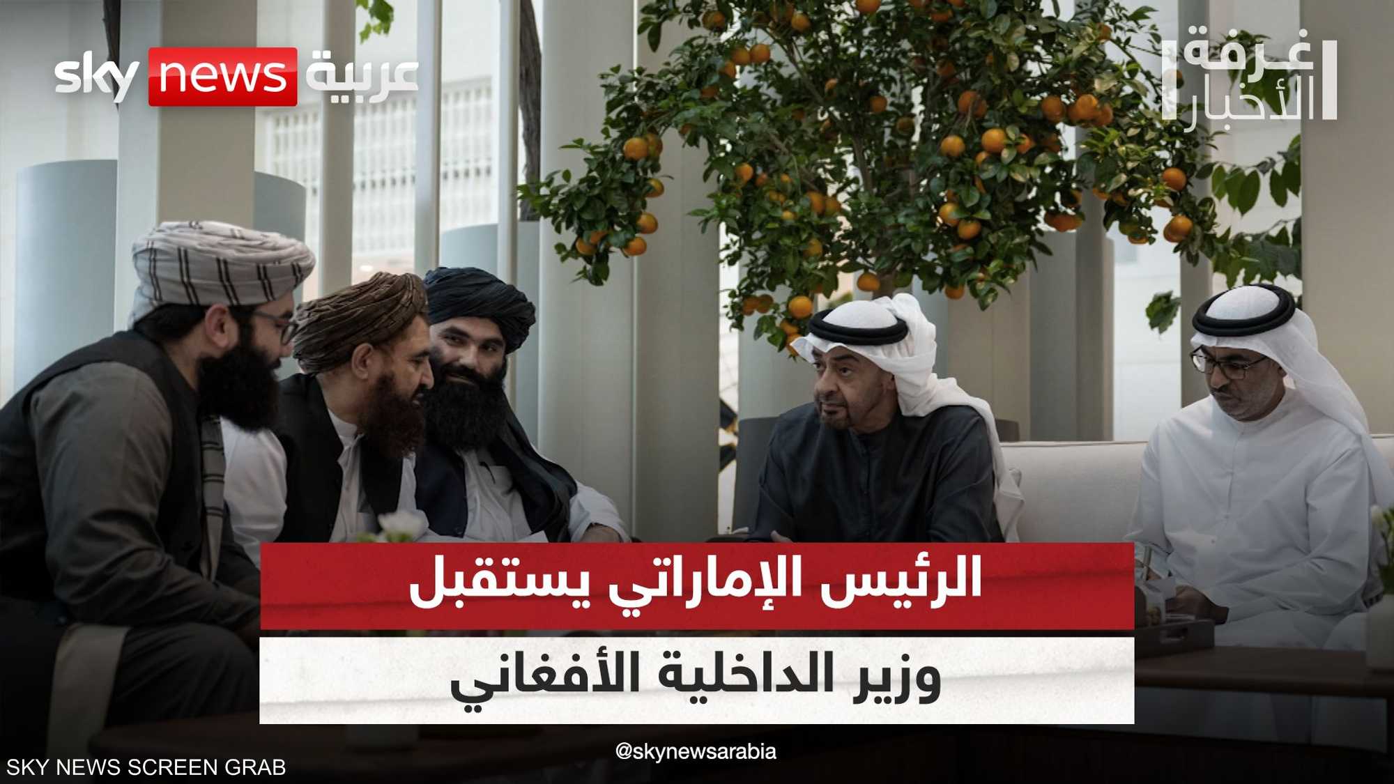 رئيس الإمارات يستقبل وزير الداخلية الأفغاني