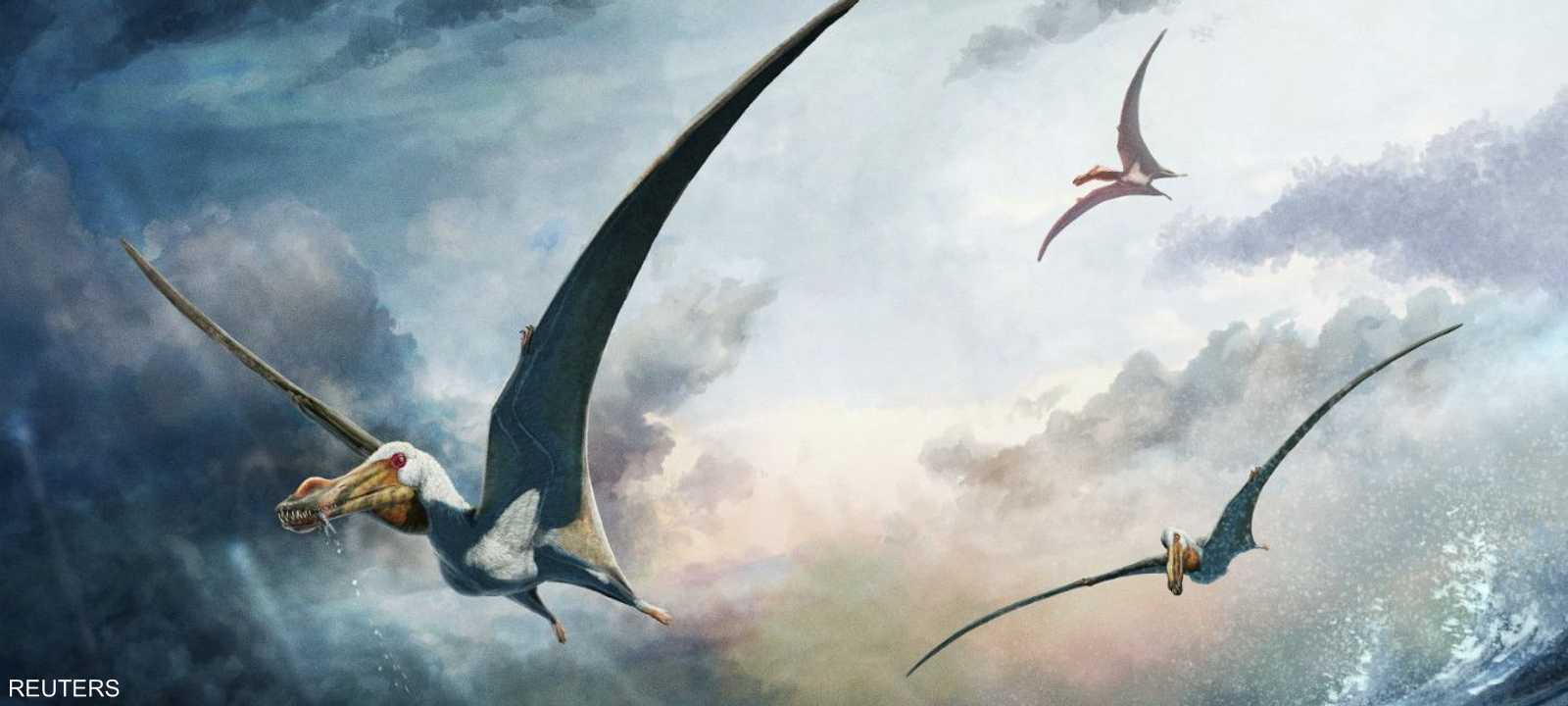 رسم للزاحف المجنح الذي تم تحديده حديثا