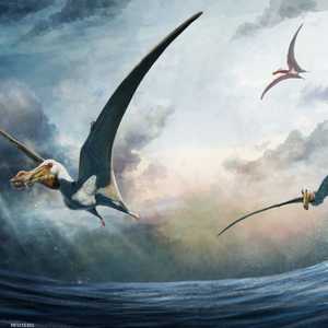 رسم للزاحف المجنح الذي تم تحديده حديثا