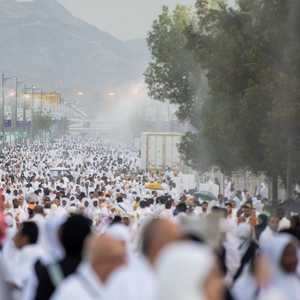 أشجار عرفات - أرشيفية