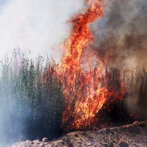 تم إجلاء أكثر من ألف شخص بسبب الحرائق