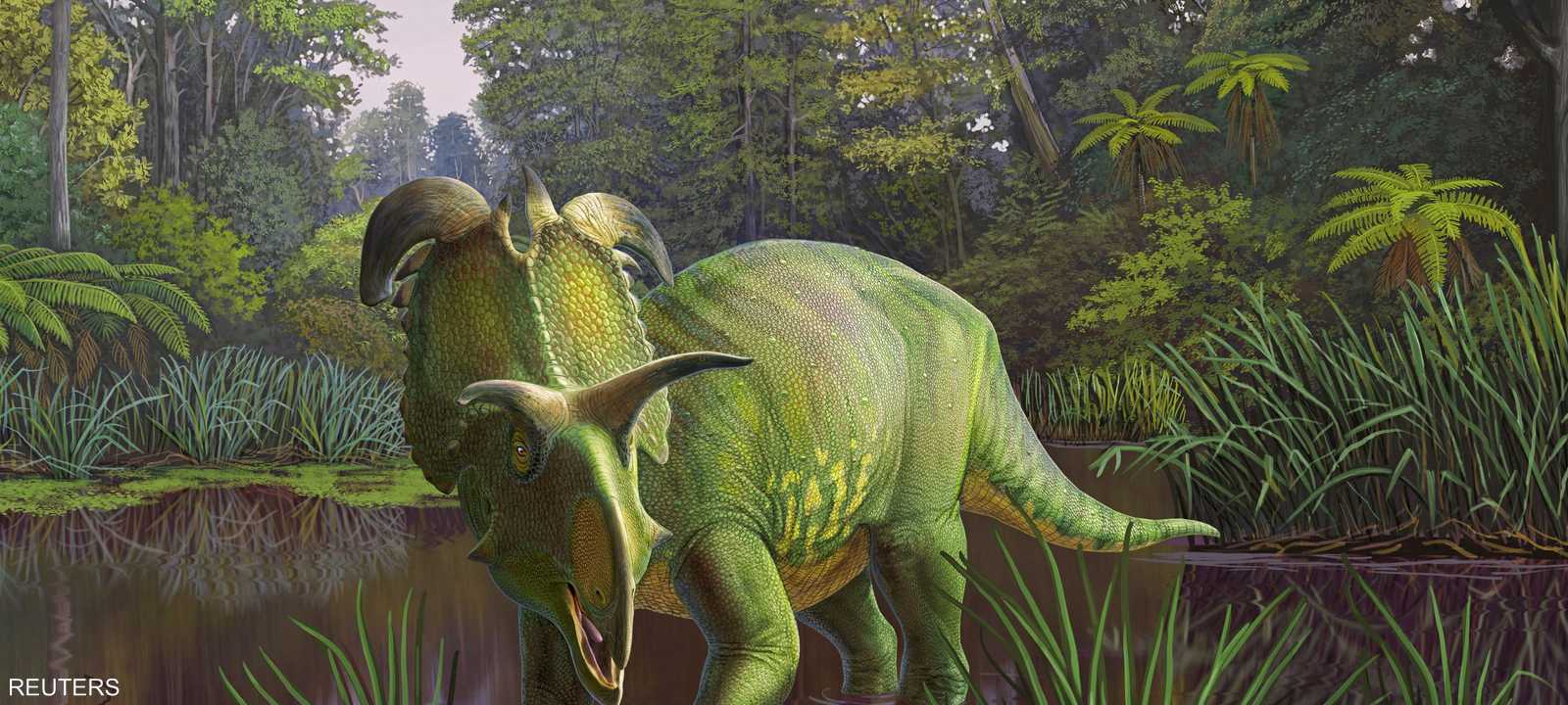 كان وزن الديناصور يبلغ حوالي خمسة أطنان ونصف