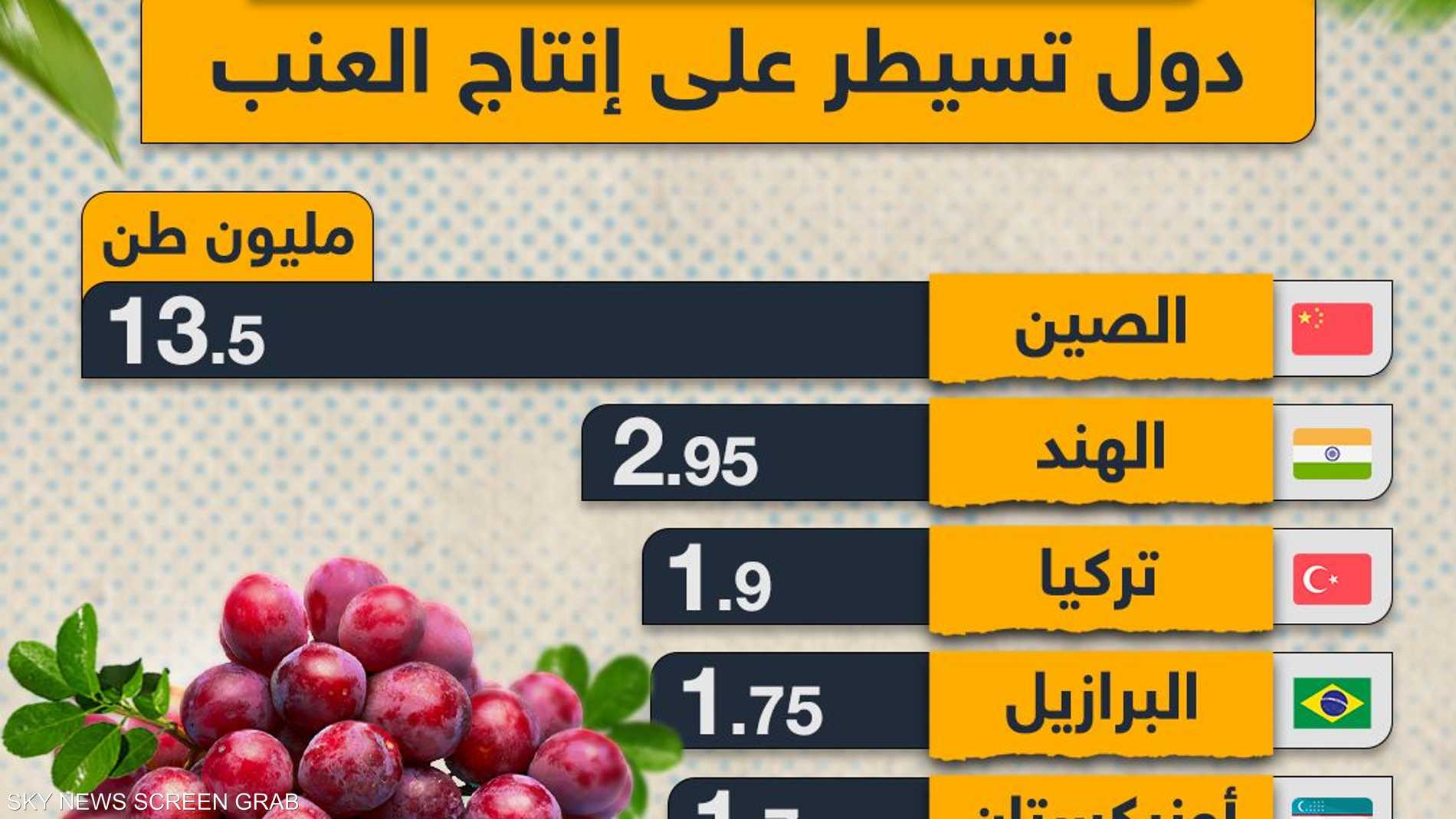 مصر السادسة عالميا.. دول تسيطر على إنتاج العنب