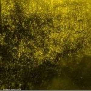 النقوش مازالت في حالة جيدة