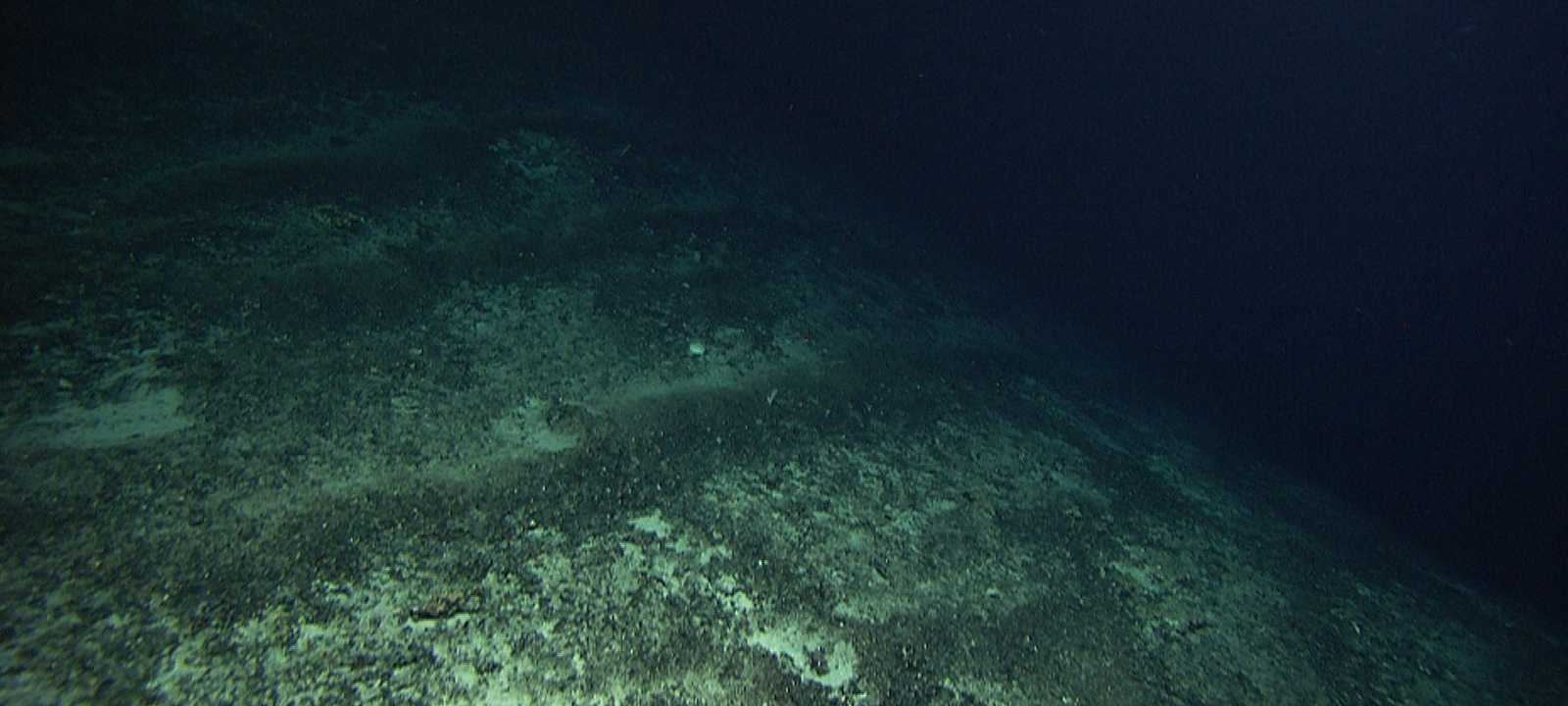 ينتج الأكسجين المظلم في أعماق سحيقة وفق البحث