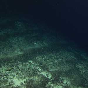 ينتج الأكسجين المظلم في أعماق سحيقة وفق البحث