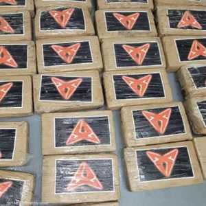 بلغت قيمة الكوكايين نحو مليون دولار