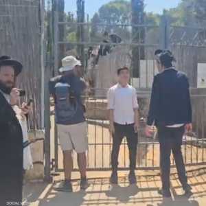 اليهود الحريديم اقتحموا معسكرا للجيش الإسرائيلي