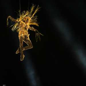 "كائن ذهبي" خلال حفل الختام