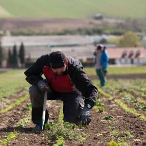 منطقة زراعية في النمسا