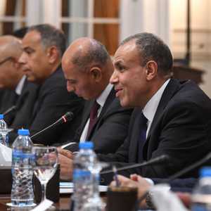 وزير الخارجية المصري بدر عبد العاطي