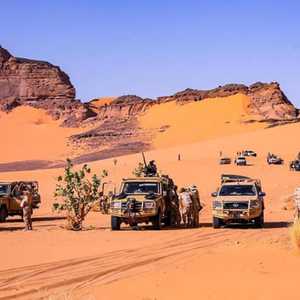 الجيش دفع بوحدات لأجل تأمين الحدود الجنوبية الغربية