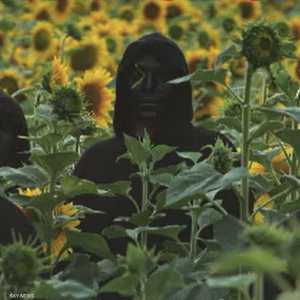 بدأت الشبكة بشكل غير رسمي بعد أن احتلت روسيا شبه جزيرة القرم