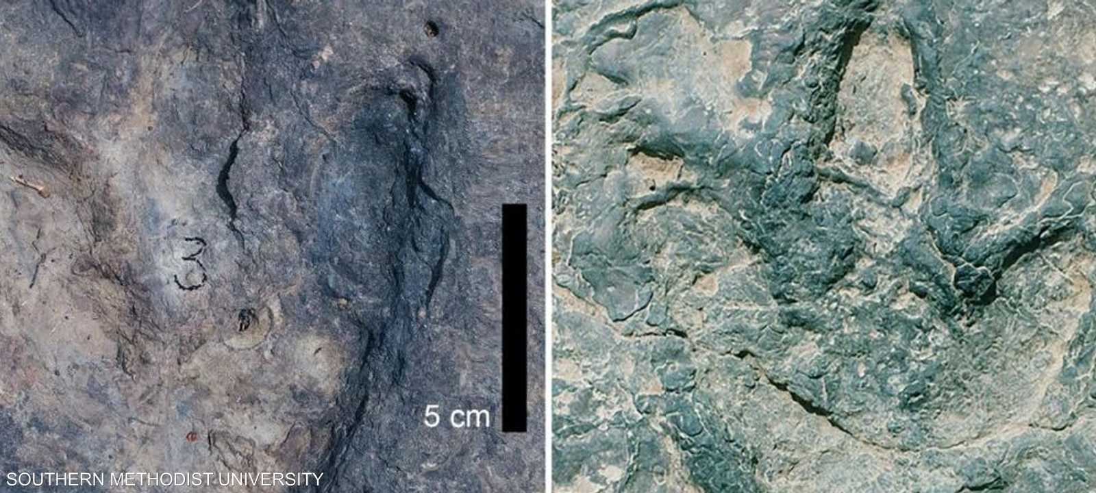 يعود عمر الآثار لمئات ملايين السنين