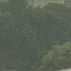 أمطار غزيرة تودي بـ12 شخصا في باكستان