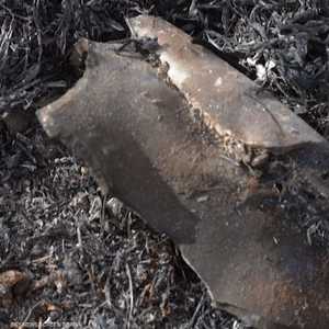 واشنطن تنفي تقديم عرض للحوثيين مقابل وقف هجماتهم