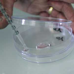 تحليل عينات من مياه الصرف  أظهر زيادة في انتشار فيروس معوي