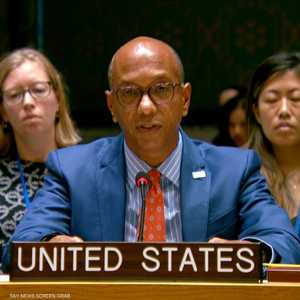 روبرت وود في مجلس الأمن