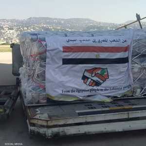 مساعدات مصرية إلى لبنان