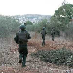 الجيش الإسرائيلي يعلن مهاجمة 230 هدفا في لبنان وغزة