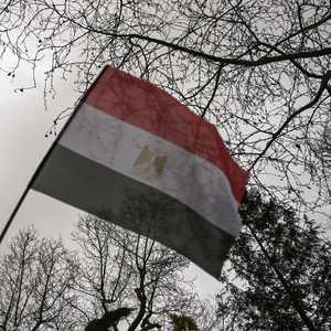 العلم المصري