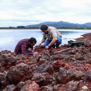 اكتُشفت الحفرية في طبقة صخرية يعود تاريخها إلى العصر الترياس