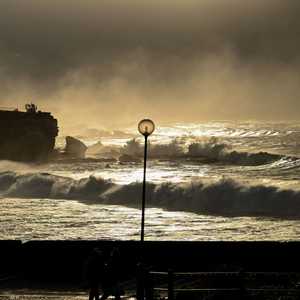 جانب من شاطئ كوجي