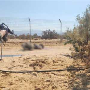 القوات الإسرائيلية قتلت اثنين من المتسللين عبر الأردن